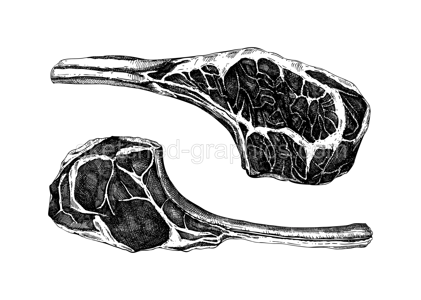 Tomahawk steak sketches. Vector meat drawing. Hand drawn food illustrations. NOT AI generated Illustration